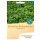 Bingenheimer Seeds Green Manure Fast ground Cover organic for approx 15 m²