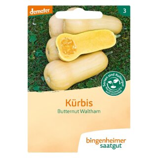 Bingenheimer Saatgut Kürbis Butternut Waltham demeter bio für ca. 7 Pflanzen